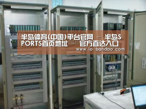 半岛体育案例展示五