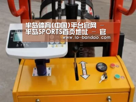 半岛体育案例展示三