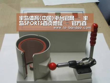 半岛体育案例展示六