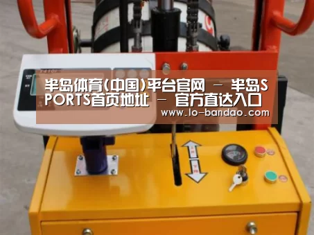 半岛体育案例展示三(图1)