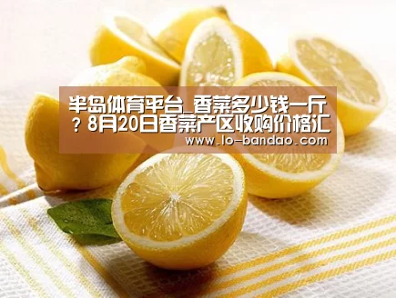 半岛体育平台